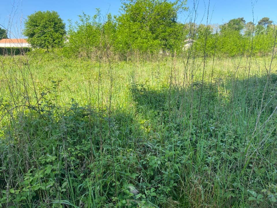 Terrain - Terrain à bâtir Gujan-Mestras (33470) à Gujan-Mestras (33), prix 440 000 €