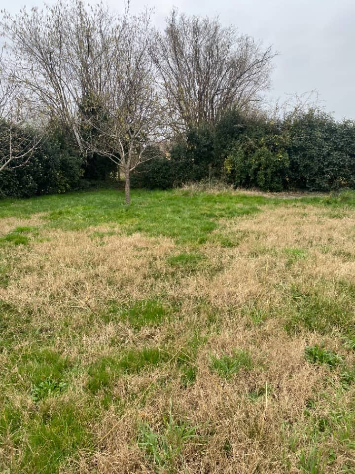 Terrain - Terrain à bâtir Salles (33770) à Salles, prix 75 000 €