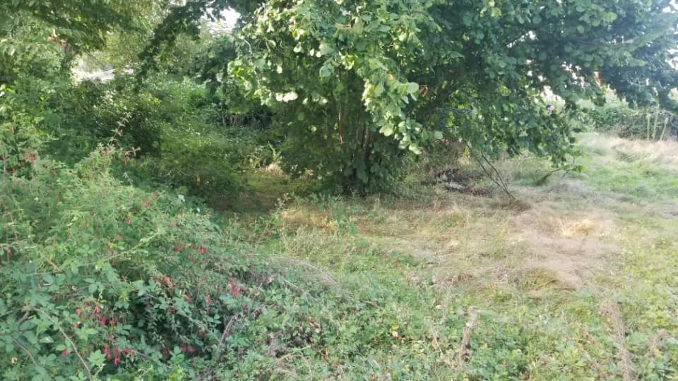 Terrain - Terrain à bâtir Saint-Quentin-de-Baron (33750) à Saint-Quentin-de-Baron (33), prix 90 000 €