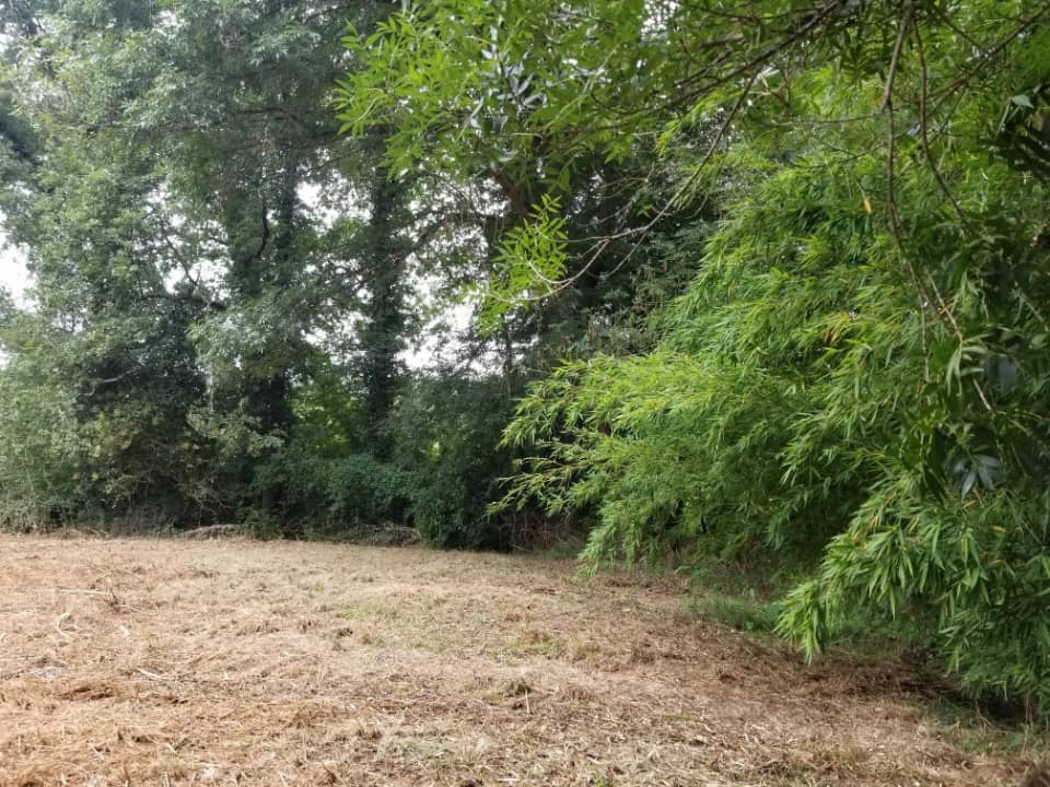 Terrain - Terrain à bâtir Croignon (33750) à Croignon, prix 79 000 €