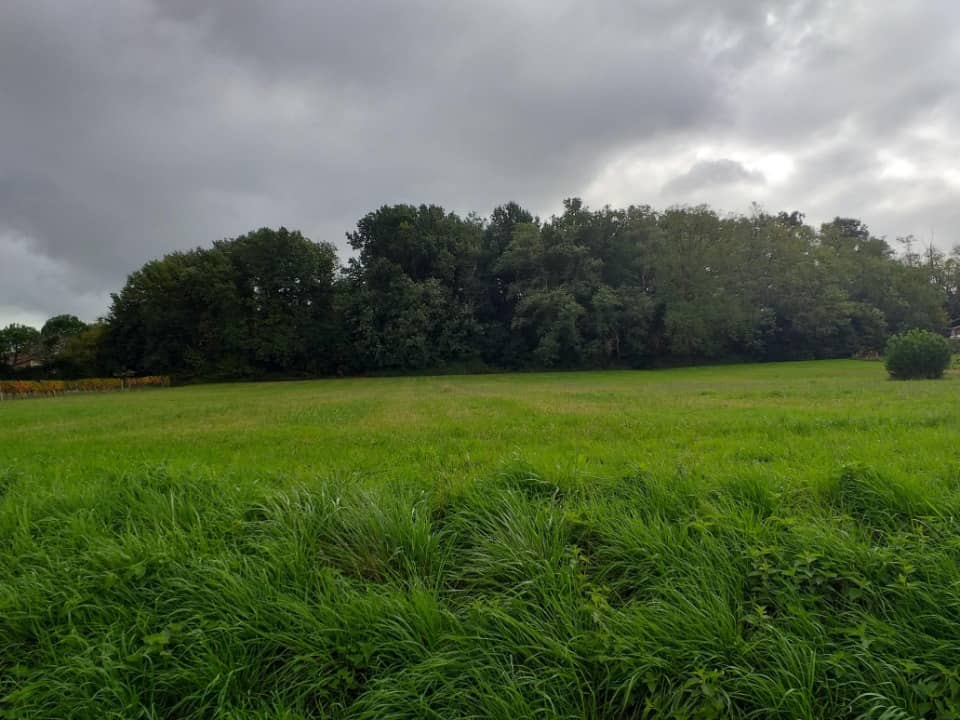 Terrain - Terrain à bâtir Baigneaux (33760) à Baigneaux, prix 65 000 €