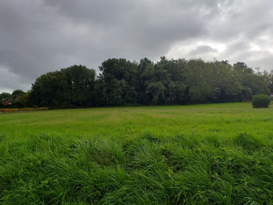 Terrain - Terrain à bâtir Baigneaux (33760) à Baigneaux (33), prix 65 000 €