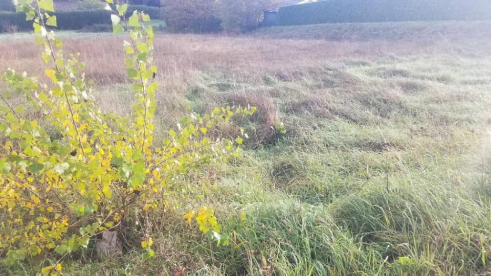 Terrain - Terrain à bâtir La Sauve (33670) à La Sauve (33), prix 68 000 €