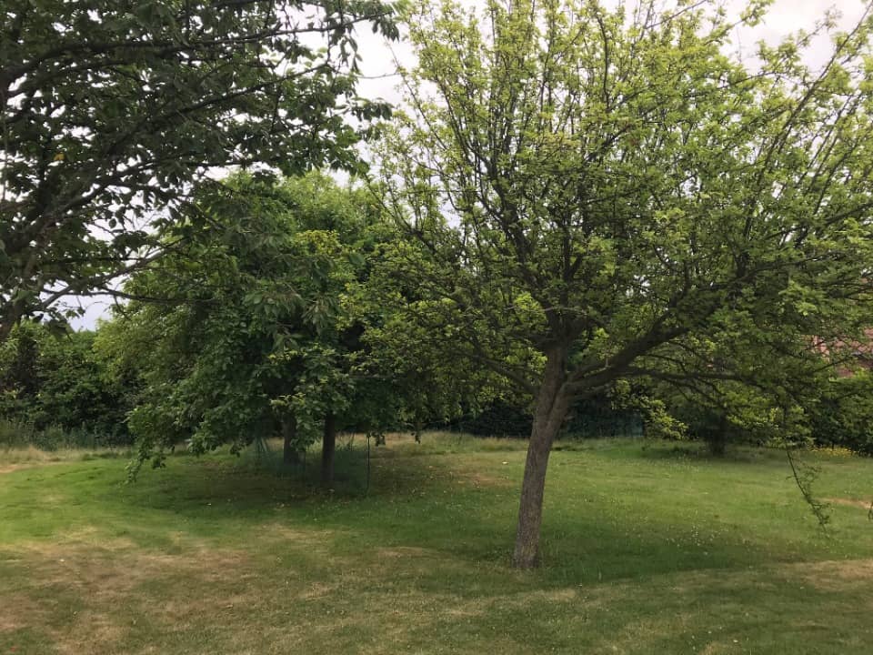 Terrain - Terrain à bâtir () à Sailly-lez-Lannoy, prix 255 000 €