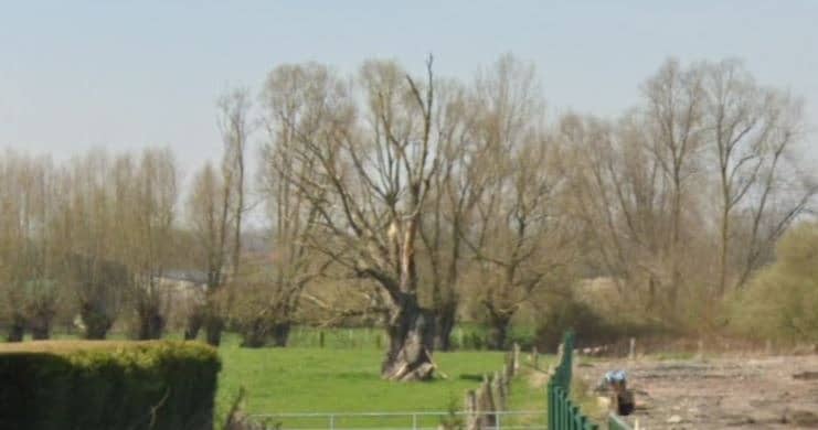 Terrain - Terrain à bâtir () à Templeuve, prix 155 000 €