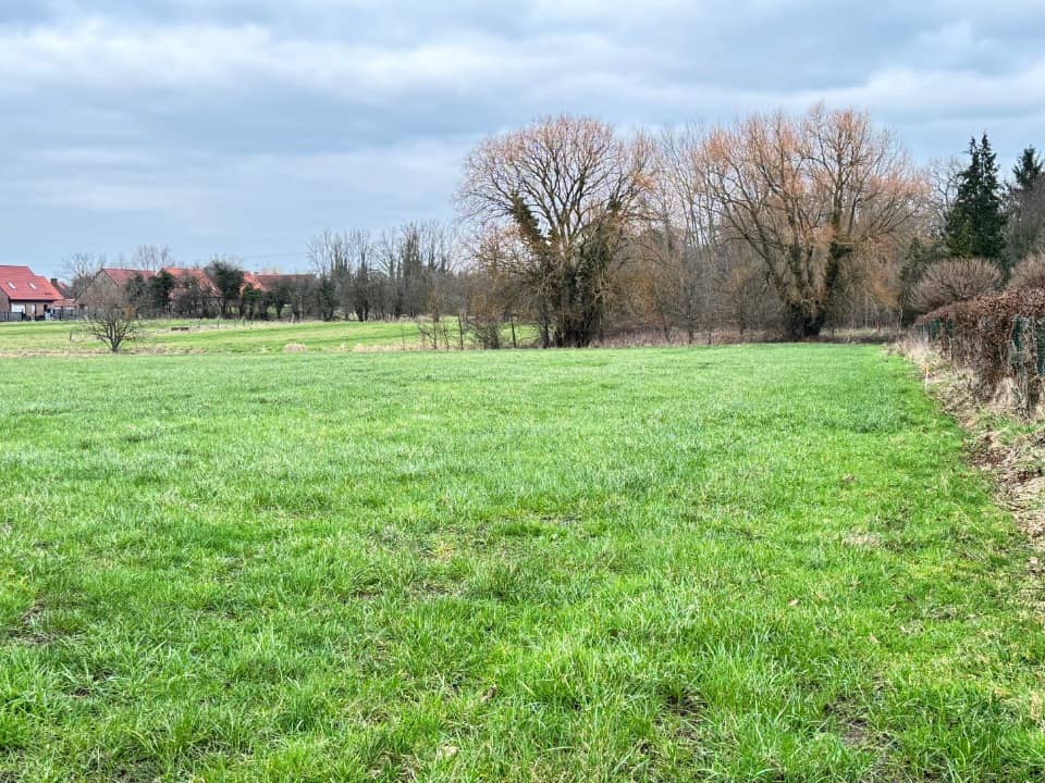 Maison neuve - Terrain à bâtir  () à Tourmignies (59), prix 318 000 €