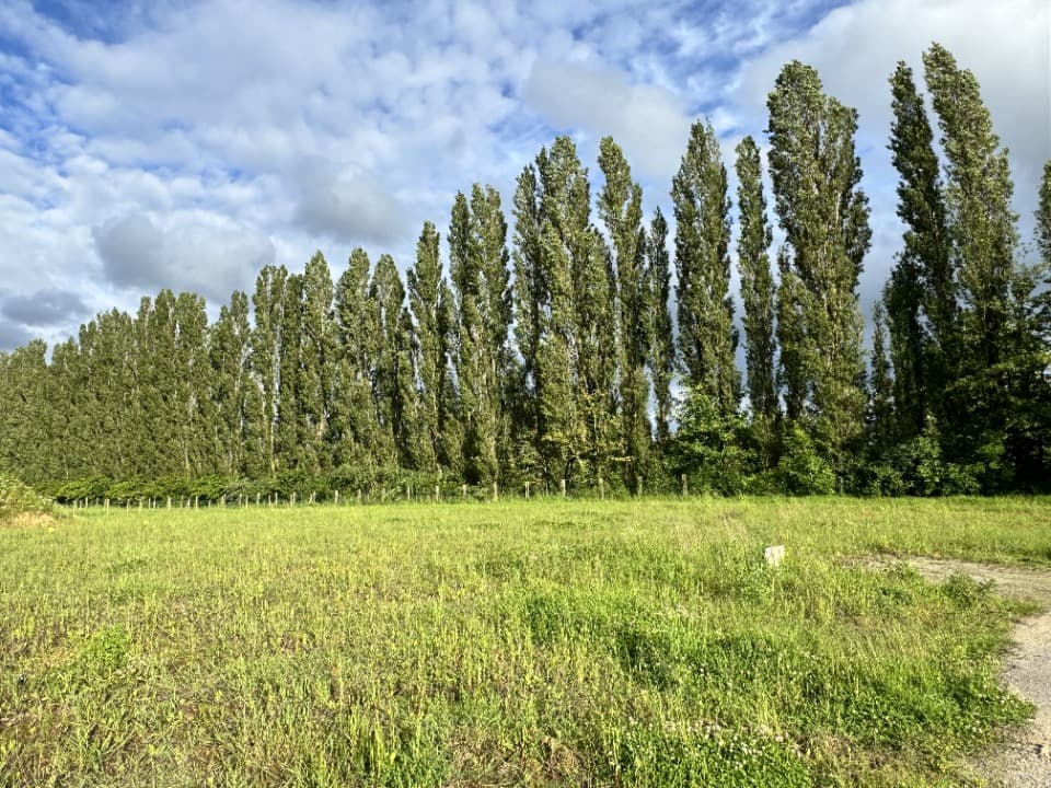 Terrain - Terrain à bâtir () à Mérignies (59), prix 210 000 €