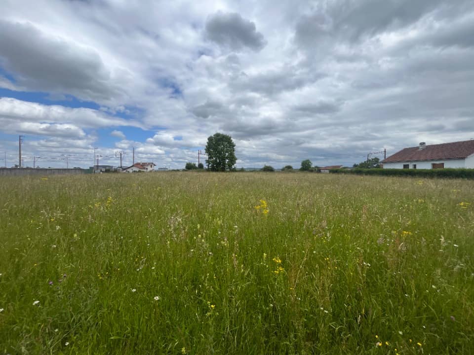 Terrain - Terrain à bâtir Ossun (65380) à Ossun, prix 52 000 €