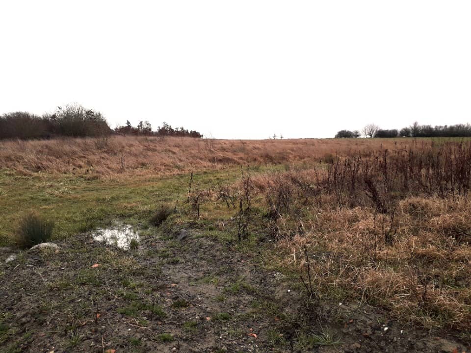 Terrain - Terrain à bâtir Farébersviller (57450) à Farébersviller (57), prix 69 000 €