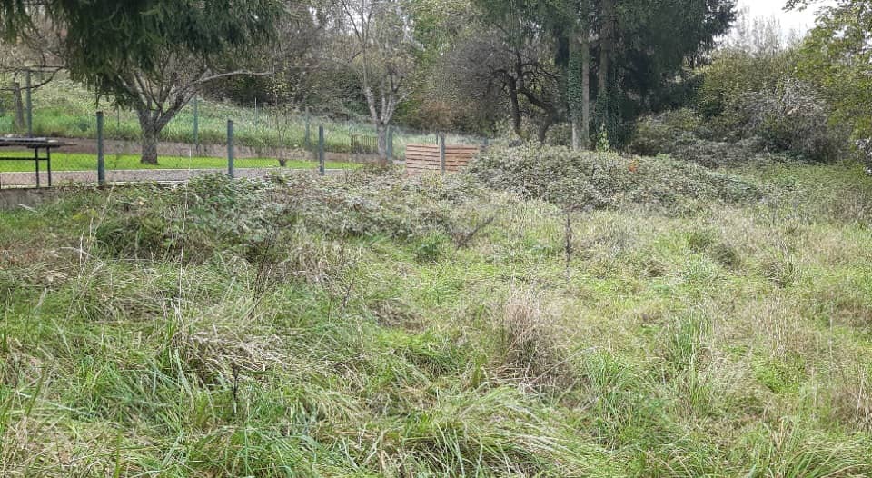 Terrain - Terrain à bâtir Etzling (57460) à Etzling, prix 44 900 €