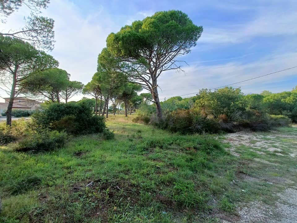 Terrain - Terrain à bâtir Puget-sur-Argens (83480) à Puget-sur-Argens (83), prix 250 000 €