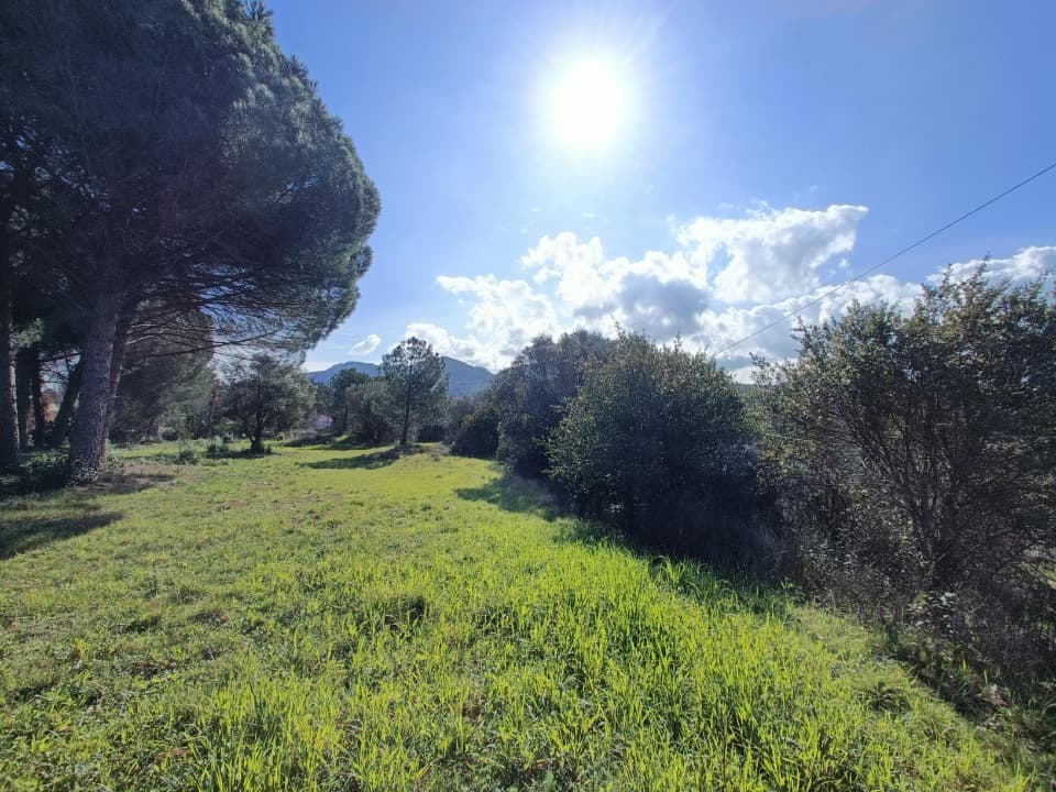 Terrain - Terrain à bâtir Le Muy (83490) à Le Muy (83), prix 245 000 €