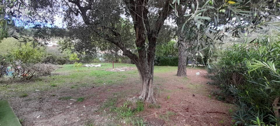 Terrain - Terrain à bâtir Pégomas (06580) à Pégomas (65), prix 330 000 €