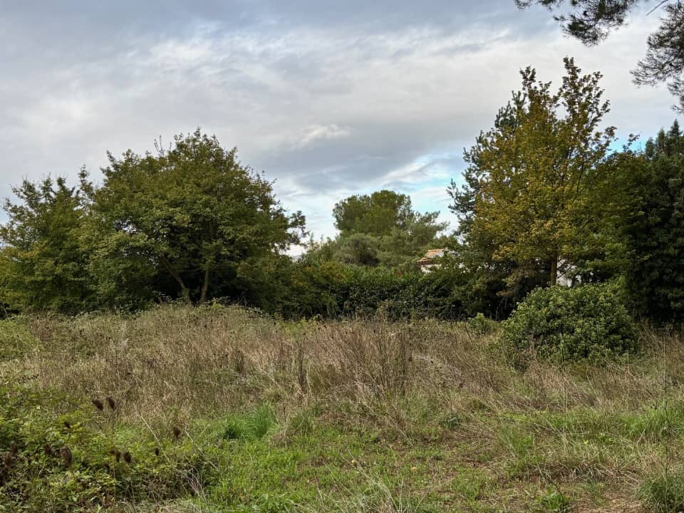 Terrain - Terrain à bâtir Montauroux (83440) à Montauroux (83), prix 230 000 €