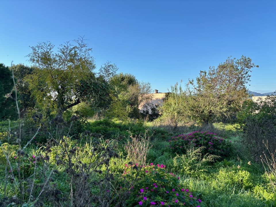 Terrain - Terrain à bâtir Cannes (06400) à Cannes (61), prix 245 000 €