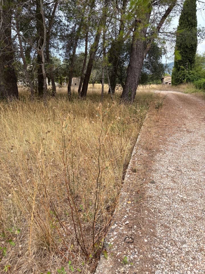 Terrain - Terrain à bâtir  () à Peymeinade (65), prix 230 000 €