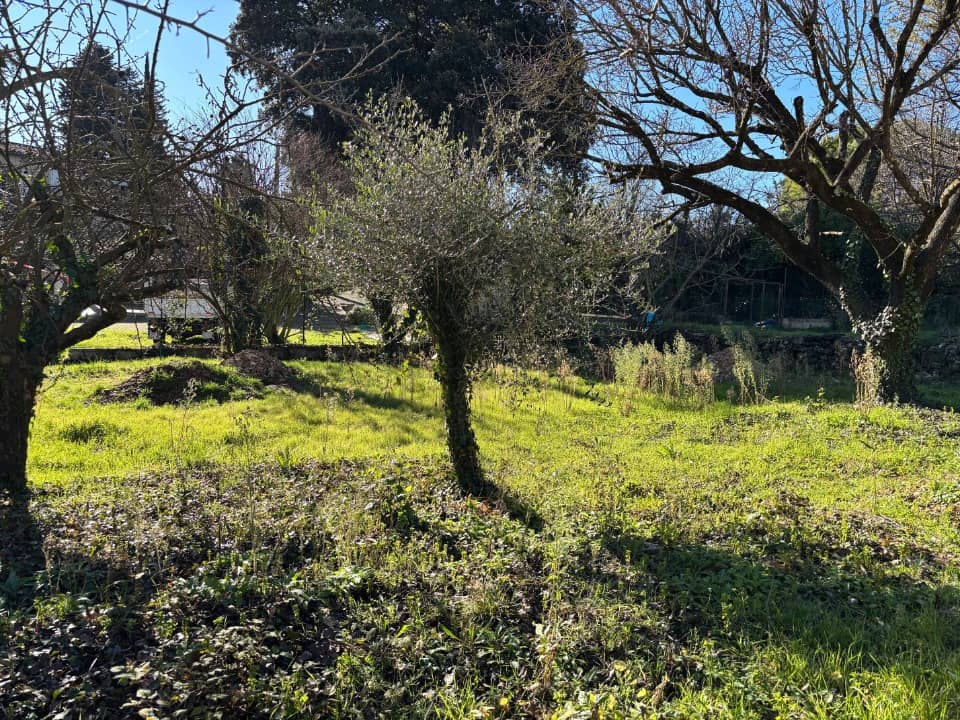 Terrain - Terrain à bâtir Montauroux (83440) à Montauroux (83), prix 215 000 €