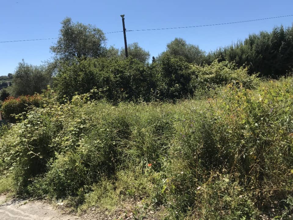 Terrain - Terrain à bâtir Biot (06410) à Biot (64), prix 385 000 €