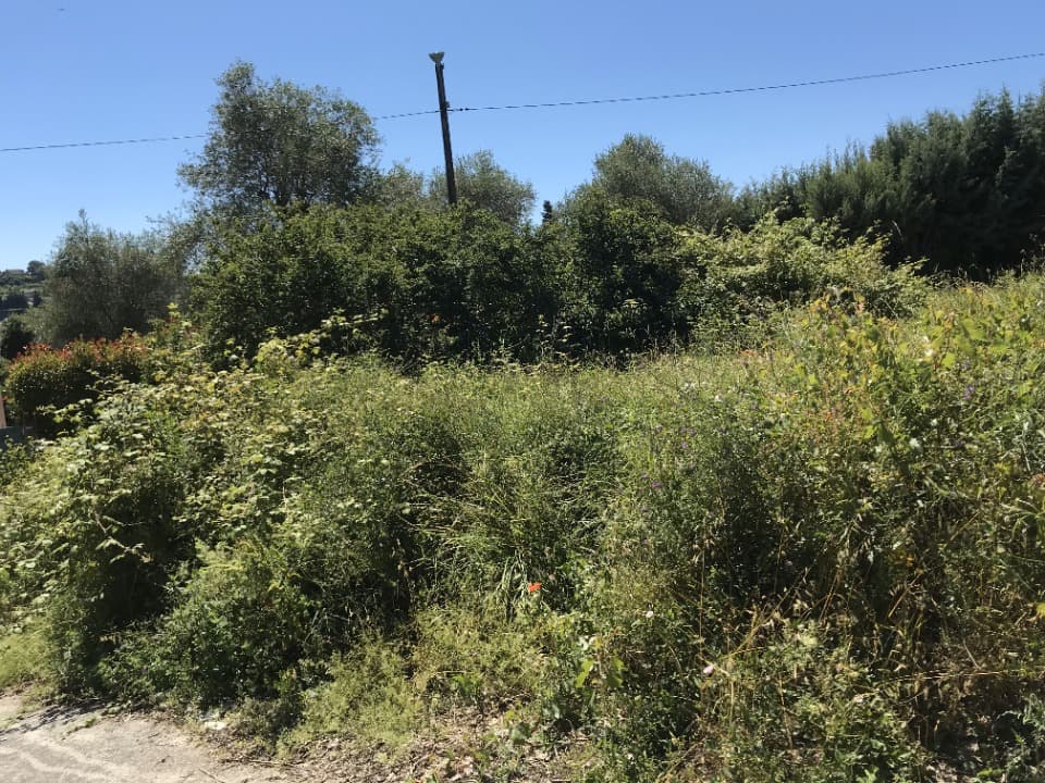 Terrain - Terrain à bâtir Biot (06410) à Biot (64), prix 385 000 €