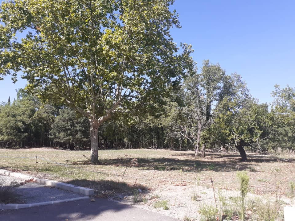 Terrain - Terrain à bâtir Montauroux (83440) à Montauroux (83), prix 210 000 €