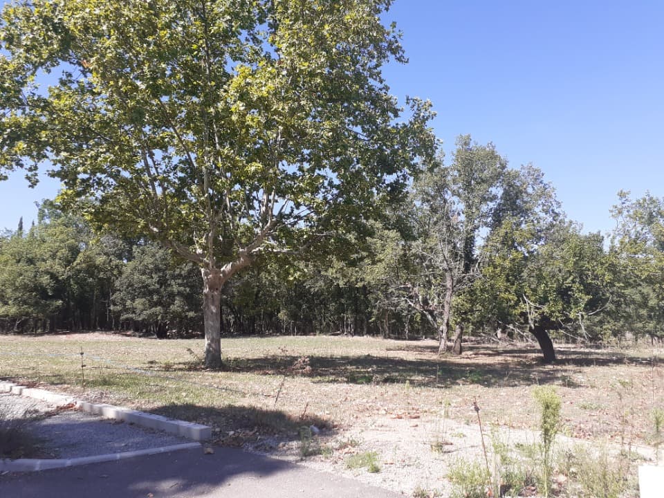 Terrain - Terrain à bâtir Montauroux (83440) à Montauroux (83), prix 210 000 €