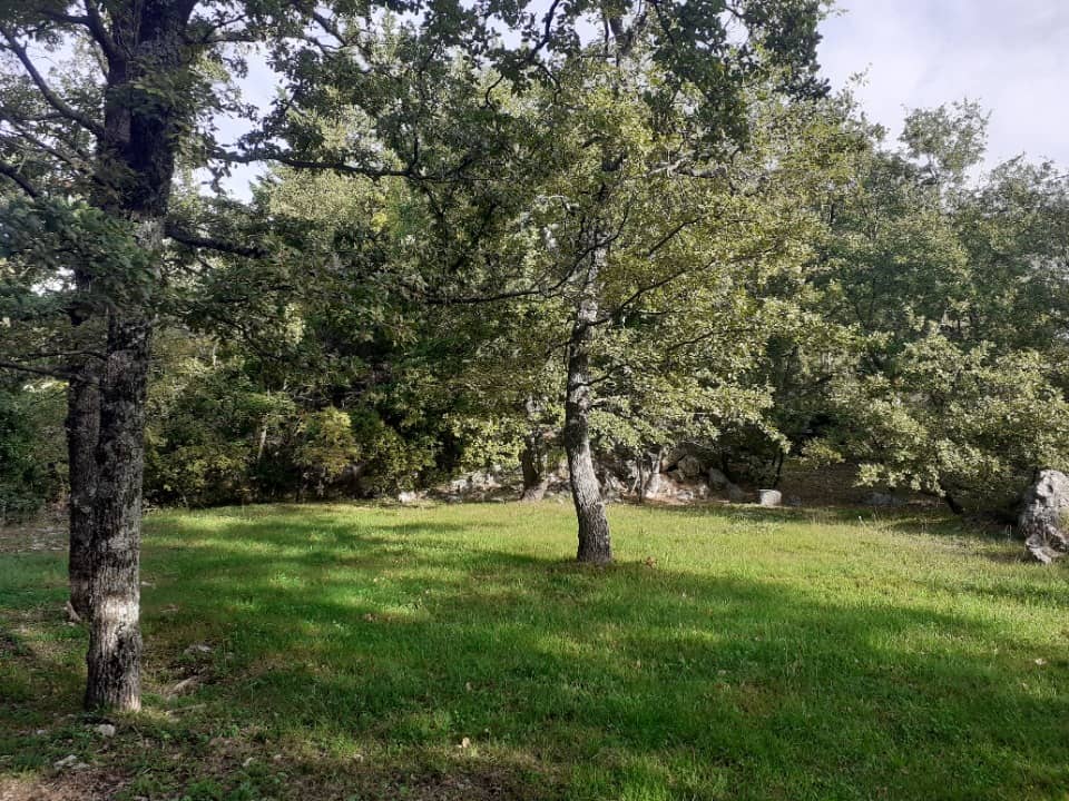 Terrain - Terrain à bâtir Saint-Vallier-de-Thiey (06460) à Saint-Vallier-de-Thiey (64), prix 189 000 €