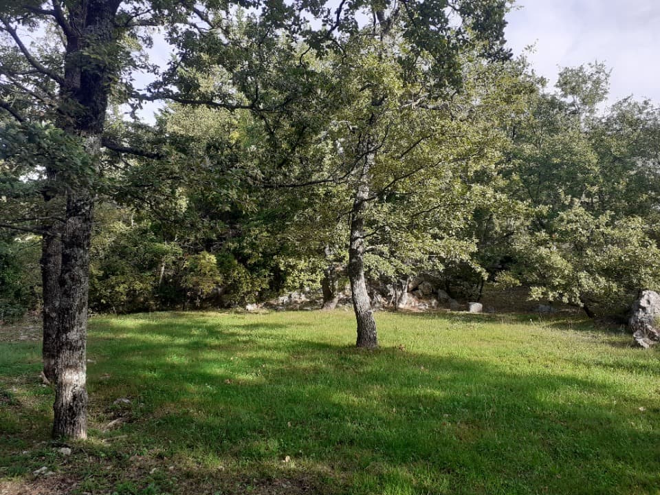 Terrain - Terrain à bâtir Saint-Vallier-de-Thiey (06460) à Saint-Vallier-de-Thiey (64), prix 189 000 €