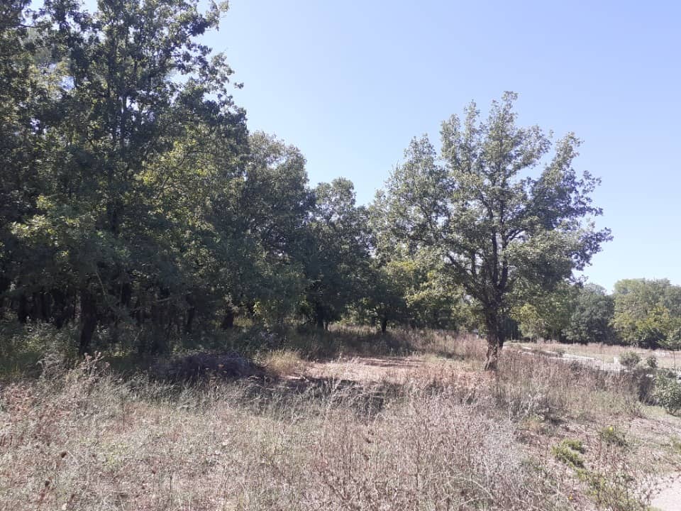 Terrain - Terrain à bâtir Tourrettes (83440) à Tourrettes (83), prix 235 000 €