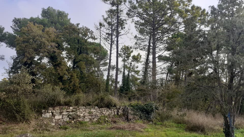 Terrain - Terrain à bâtir Callian (83440) à Callian (83), prix 220 000 €