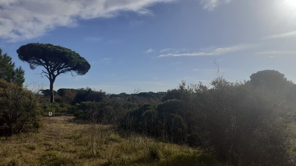Terrain - Terrain à bâtir Puget-sur-Argens (83480) à Puget-sur-Argens (83), prix 280 000 €