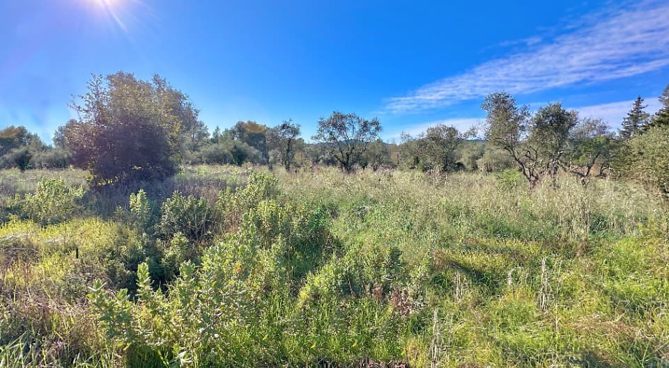 Terrain - Terrain à bâtir Bagnols-en-Forêt (83600) à Bagnols-en-Forêt (83), prix 230 000 €