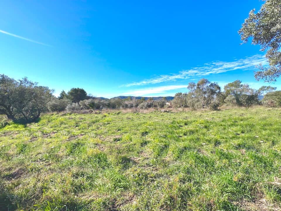 Terrain - Terrain à bâtir Puget-sur-Argens (83480) à Puget-sur-Argens (83), prix 250 000 €