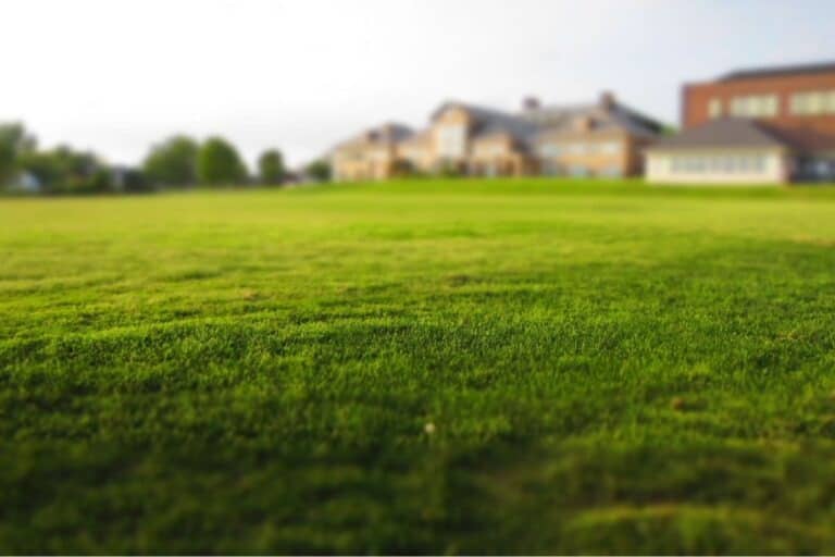 Terrain - Terrain à bâtir Champigny-sur-Marne (94500) à Champigny-sur-Marne (94), prix 303 000 €