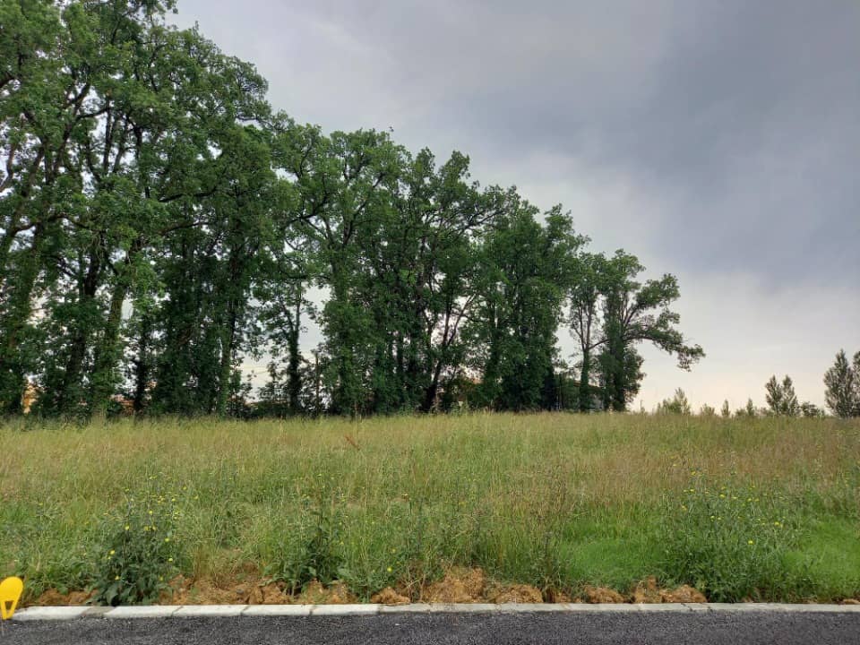 Terrain - Terrain à bâtir Lasgraisses (81300) à Lasgraisses (81), prix 43 000 €