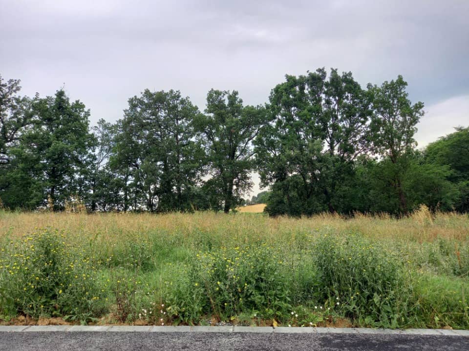 Terrain - Terrain à bâtir Lasgraisses (81300) à Lasgraisses (81), prix 39 500 €