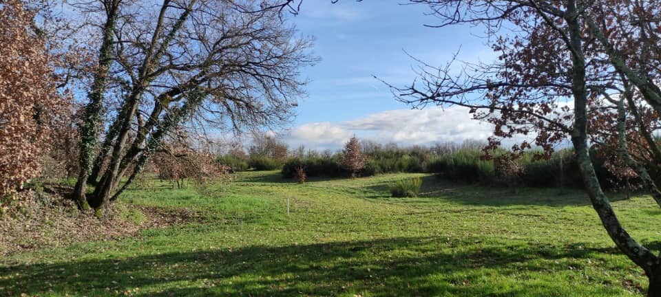 Terrain - Terrain à bâtir Montauban (82000) à Montauban (82), prix 166 000 €