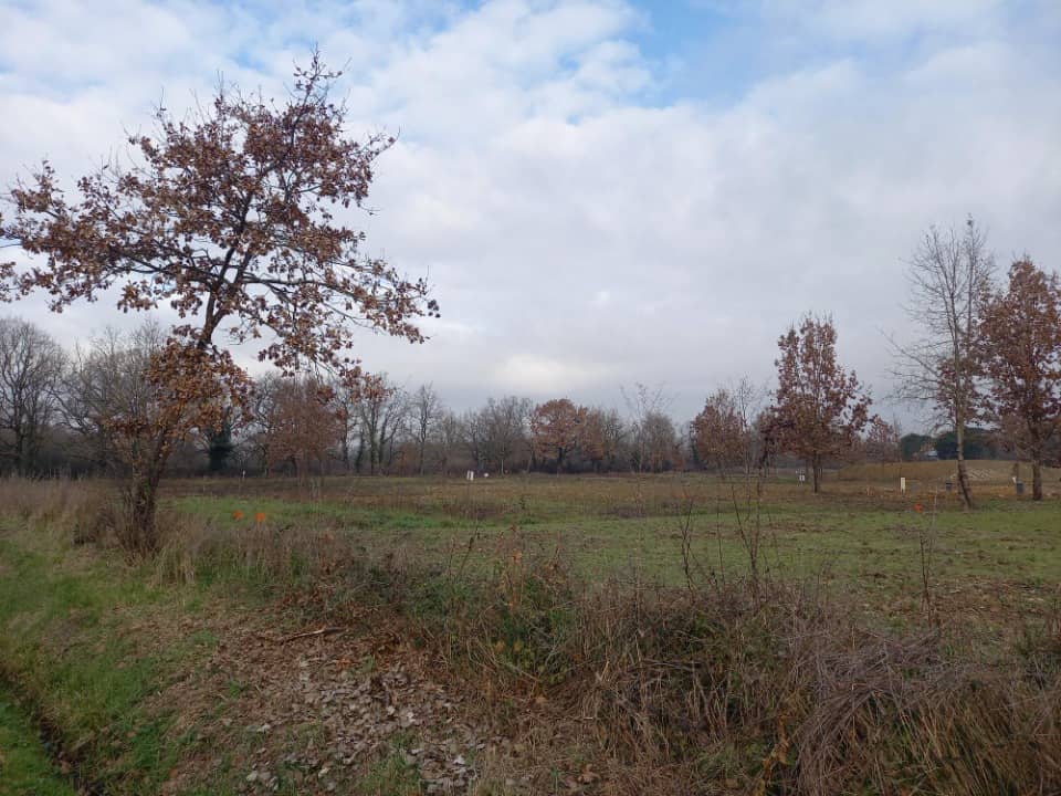 Terrain - Terrain à bâtir Montauban (82000) à Montauban, prix 65 500 €