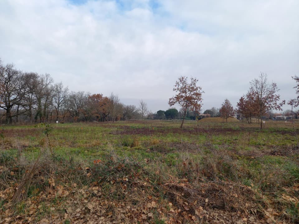 Terrain - Terrain à bâtir Montauban (82000) à Montauban (82), prix 70 900 €