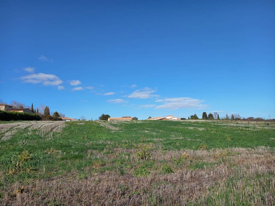 Terrain - Terrain à bâtir Cestayrols (81150) à Cestayrols (81), prix 62 000 €