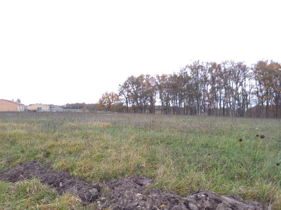 Terrain - Terrain à bâtir Montdurausse (81630) à Montdurausse (81), prix 41 500 €
