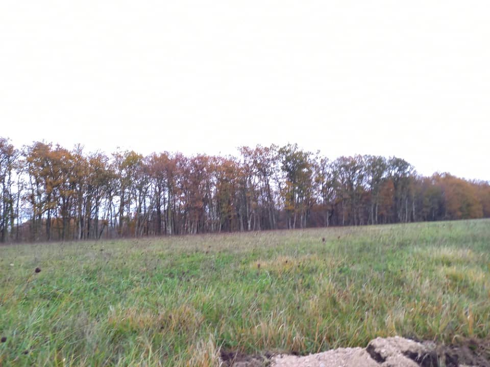 Terrain - Terrain à bâtir Montdurausse (81630) à Montdurausse (81), prix 48 000 €