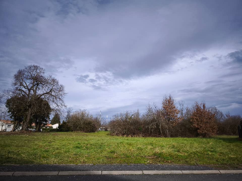 Terrain - Terrain à bâtir Gaillac (81600) à Gaillac (81), prix 50 000 €