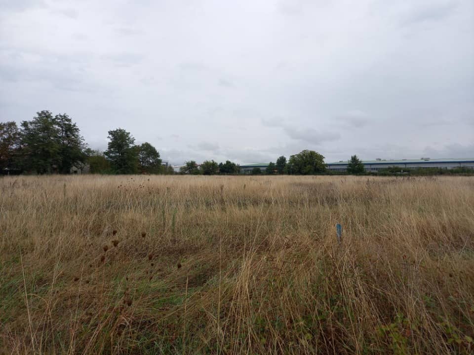 Terrain - Terrain à bâtir Saint-Sulpice (81370) à Saint-Sulpice, prix 87 000 €