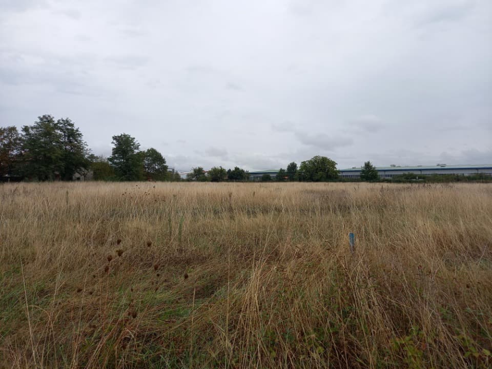 Terrain - Terrain à bâtir Saint-Sulpice (81370) à Saint-Sulpice (81), prix 87 000 €