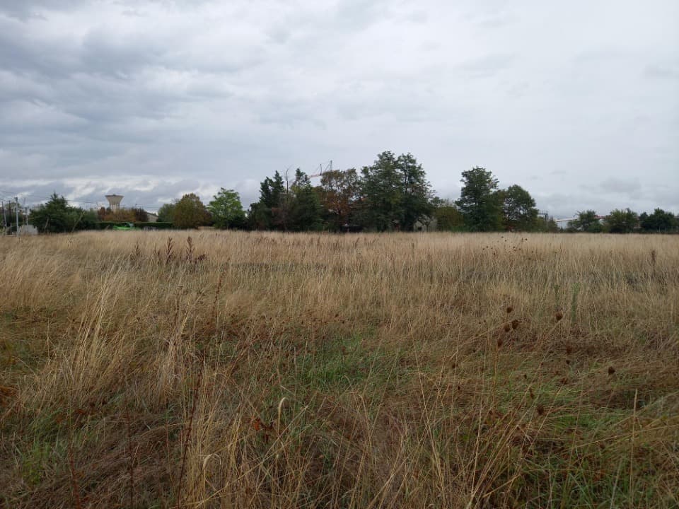Terrain - Terrain à bâtir Saint-Sulpice (81370) à Saint-Sulpice (81), prix 111 000 €