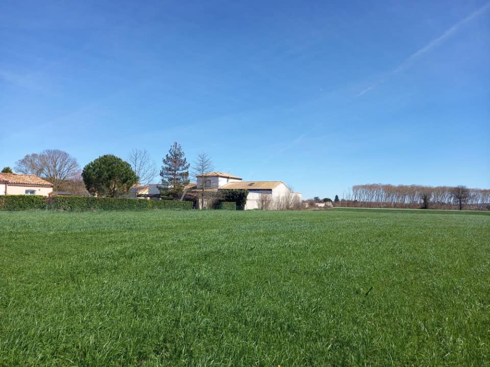 Terrain - Terrain à bâtir Senouillac (81600) à Senouillac (81), prix 69 500 €