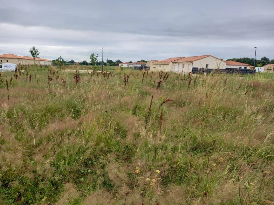 Terrain - Terrain à bâtir Montbeton (82290) à Montbeton (82), prix 57 900 €