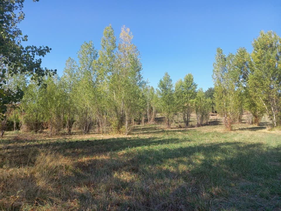 Terrain - Terrain à bâtir Mézens (81800) à Mézens (81), prix 90 000 €