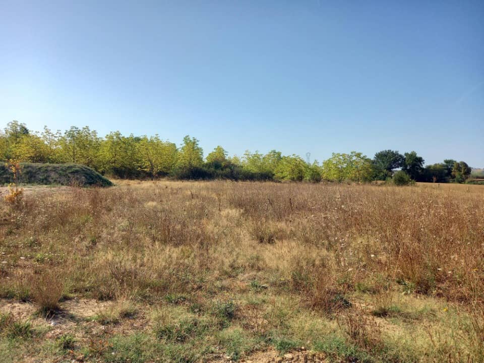 Terrain - Terrain à bâtir Saint-Jean-de-Rives (81500) à Saint-Jean-de-Rives, prix 139 500 €