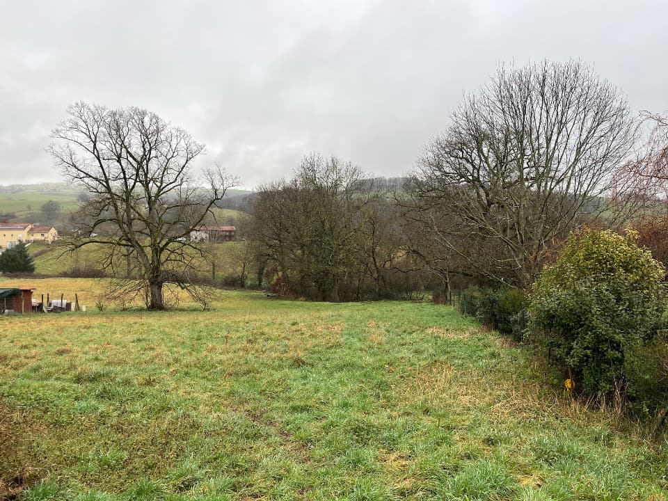 Terrain - Terrain à bâtir Saussenac (81350) à Saussenac (81), prix 32 000 €